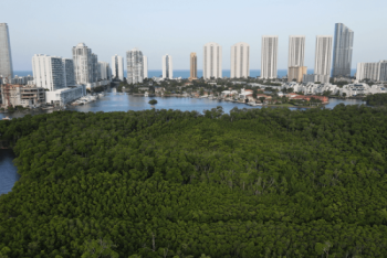Green city
